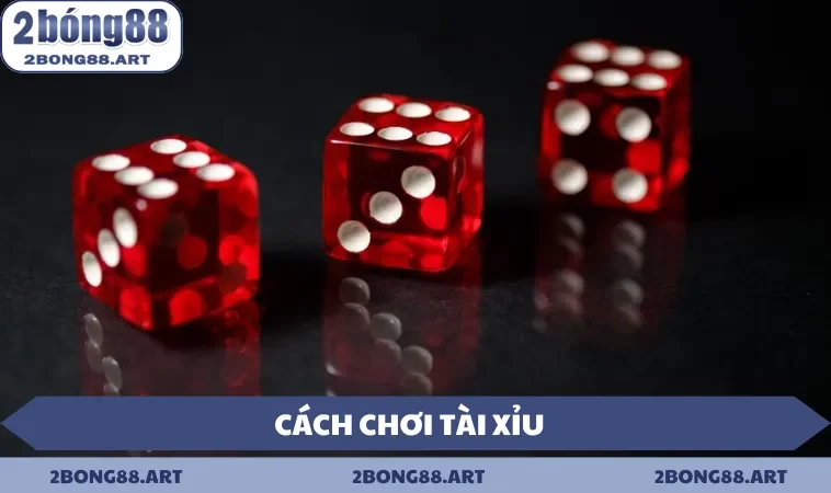 Cách chơi tài xỉu