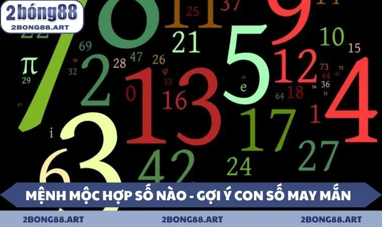 mệnh Mộc hợp số nào